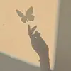 sano_kavi
