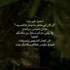 ahmad.s730