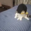 udontnned