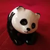 panda2020p
