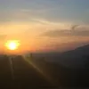 paligiovanconni