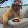 fozyrd