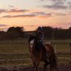 ilove_horses2021