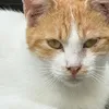 userwdsnbjp7cn