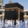 shanmalik0246