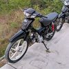hmgz55