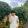 kopitujulapan