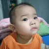 trum_bom6789