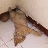 mnzzzzzzzzzz5