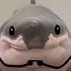 chiyu.catto