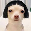 nyambat___