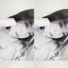 ntlsaaaa12