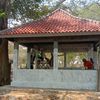rujukencur312