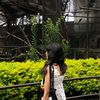 aleena_gurung7