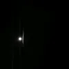 frhl_v