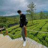 alfahrezy230_