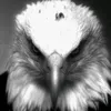 _llucass011