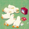 sleepytime8d