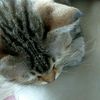 .fayya_580