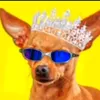 sigo_de_volta9w
