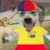 mlnxrzzx
