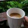 alwiteguhsantoso