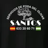 santosrecolecciones