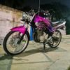 scorpio_medan225