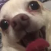 o0boop0o