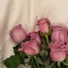 thara.2109