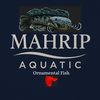 mahripaquatic