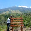 hi.indri14