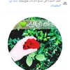 user202488940