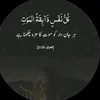zodmehboob