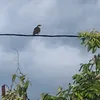 perdatempovivendo