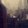 qatarilady
