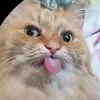 ._.iamnoob