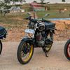 djancok100