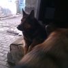 abdullaabdulla66095