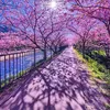 sun_shine595