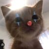 xhan_zyy