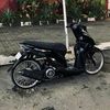 zarr33_