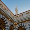 dailymuslim11