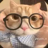 petho_290795