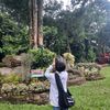 adit_alwii