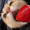 _.litlemikyy._4