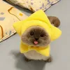 _pphuowng