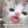 keyy.yl