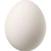 farmfreshegg
