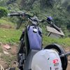 rowrrrr284
